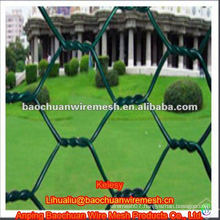 High quality green pvc coated hexagonal wire netting with preferential price in store